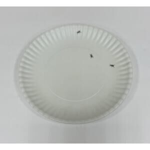 New Reusable Melamine Plate with Ant Design. KT155